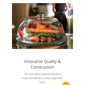 VeggiDome Fruit&Veggie Biodome Glass Counter  Produce Saver Storage -missing Lid